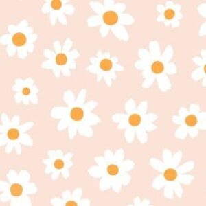 __Aesthetic Desktop Wallpapers__